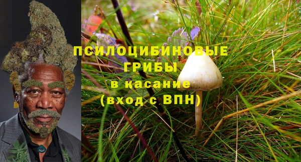 гидропоника Майский