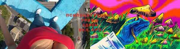 COCAINE Белая Калитва